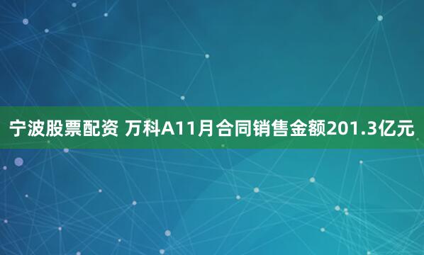 宁波股票配资 万科A11月合同销售金额201.3亿元