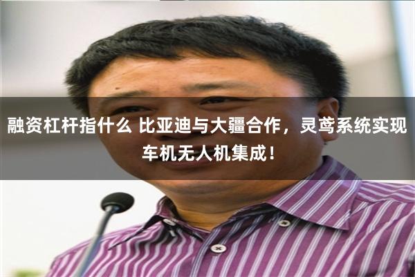 融资杠杆指什么 比亚迪与大疆合作，灵鸢系统实现车机无人机集成！