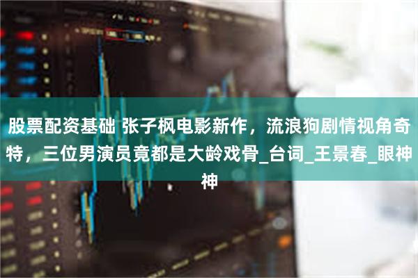 股票配资基础 张子枫电影新作，流浪狗剧情视角奇特，三位男演员竟都是大龄戏骨_台词_王景春_眼神