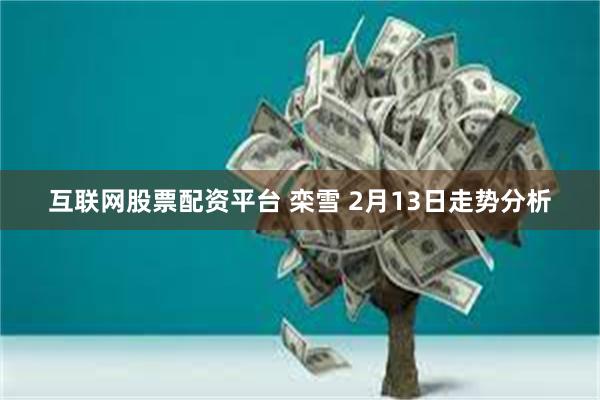 互联网股票配资平台 栾雪 2月13日走势分析