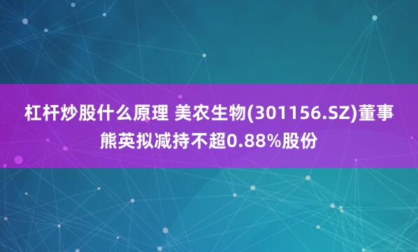 杠杆炒股什么原理 美农生物(301156.SZ)董事熊英拟减
