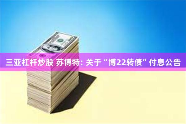 三亚杠杆炒股 苏博特: 关于“博22转债”付息公告