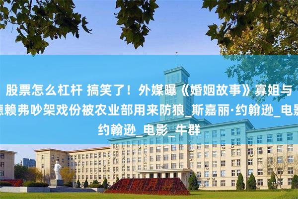 股票怎么杠杆 搞笑了！外媒曝《婚姻故事》寡姐与亚当·德赖弗吵架戏份被农业部用来防狼_斯嘉丽·约翰逊_电影_牛群