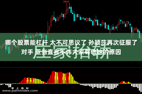 哪个股票能杠杆 太不可思议了 孙颖莎再次征服了对手 亚当直言不讳大家尊敬她的原因