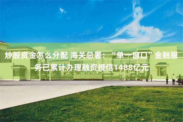 炒股资金怎么分配 海关总署：“单一窗口”金融服务已累计办理融资授信1488亿元